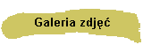 Galeria zdj